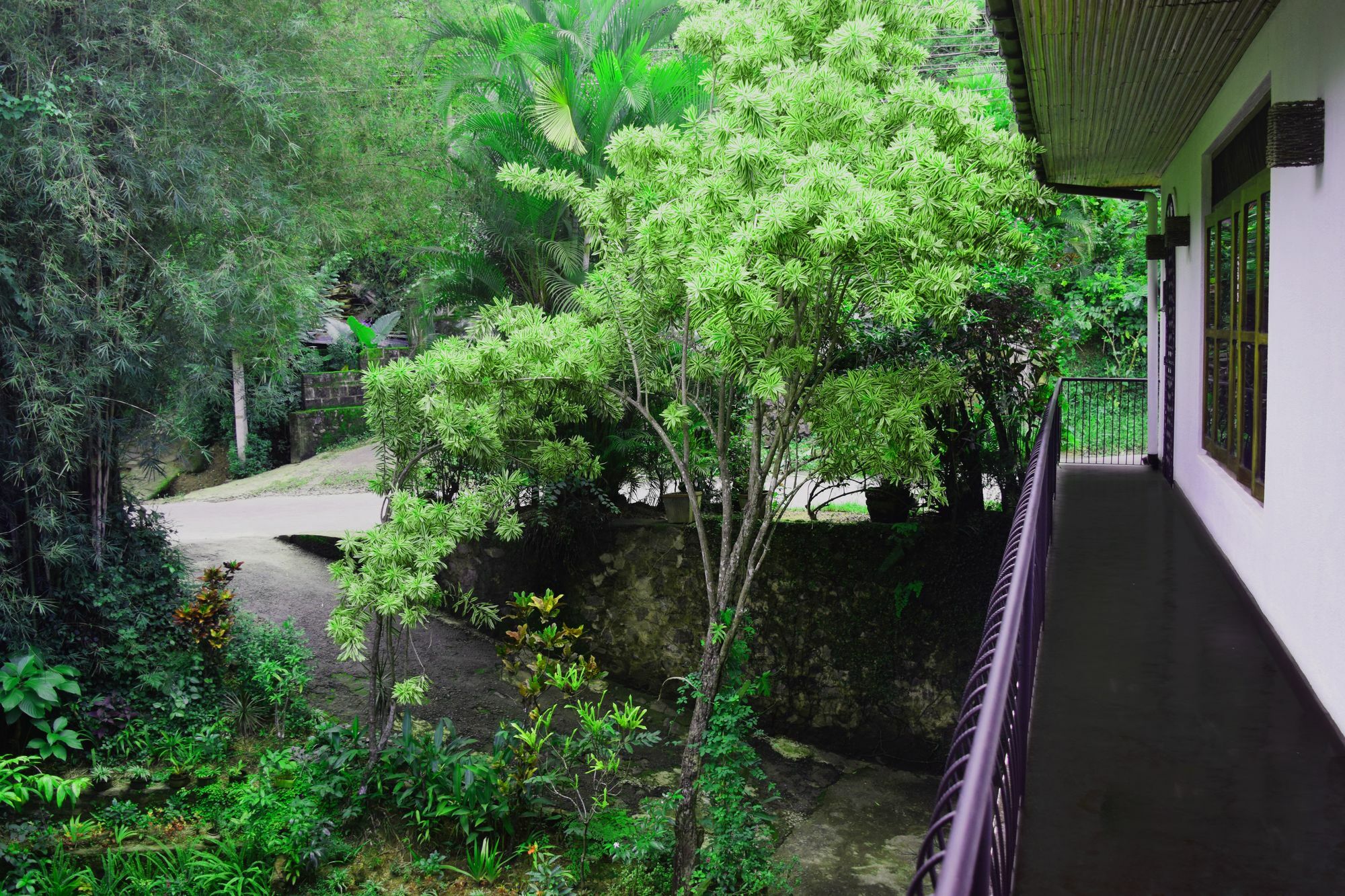 Avaana By Springhills Hotel Kandy Ngoại thất bức ảnh
